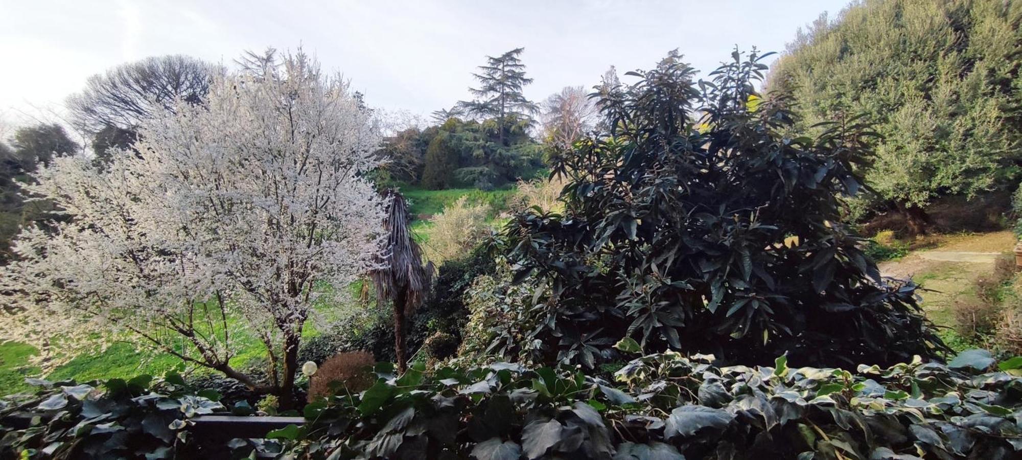 Appartement Aurelia 1100 Near Vaticano Up To 6 Guests Rome
